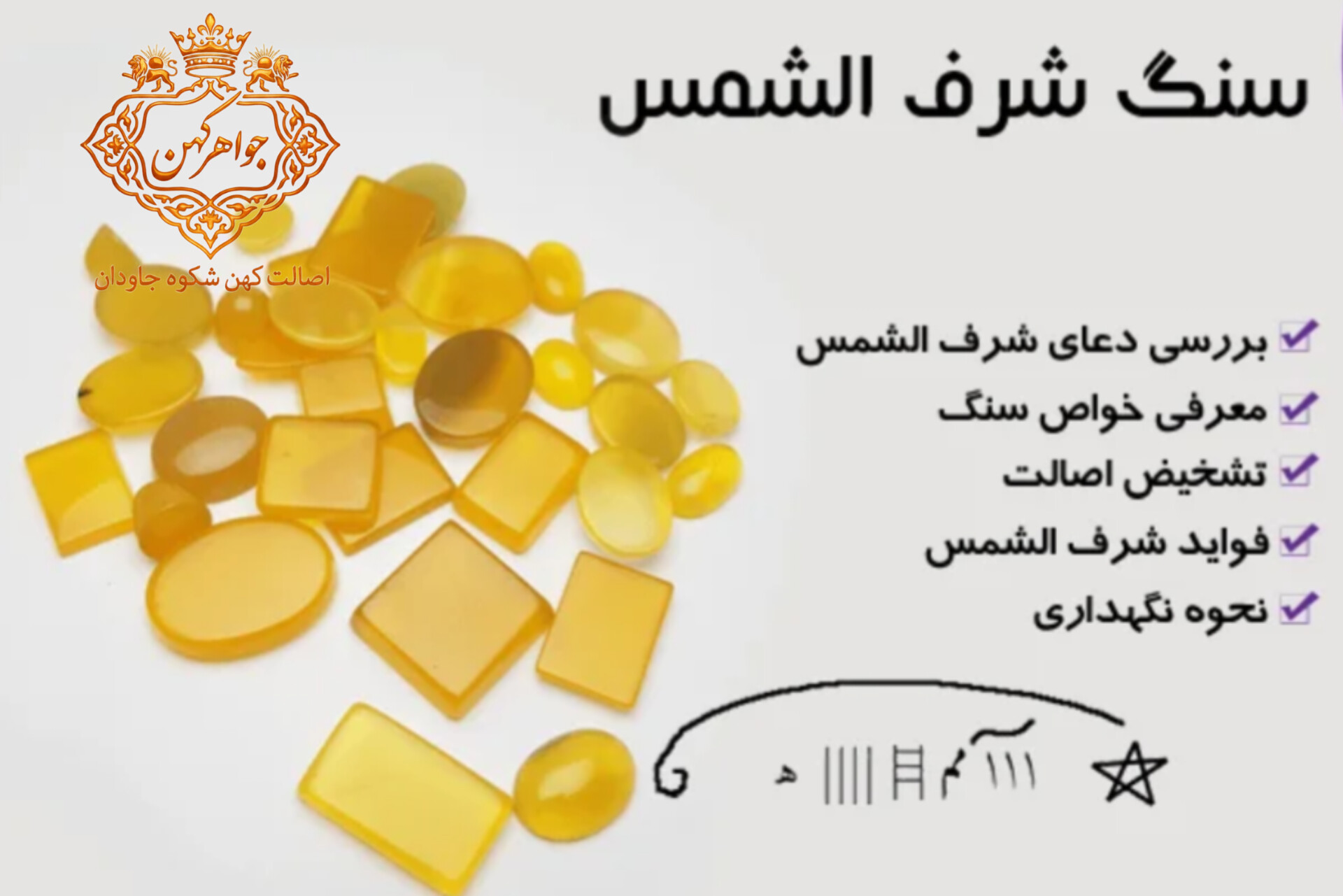 همه چیز در باره شرف الشمس ، خواص تاریخچه و نکات مهم خرید